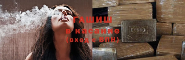 крисы Новодвинск