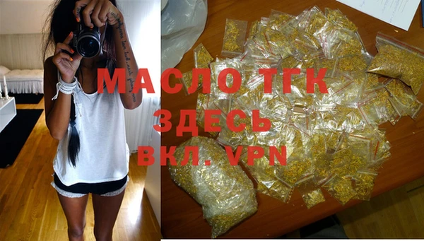 крисы Новодвинск