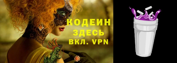 крисы Новодвинск