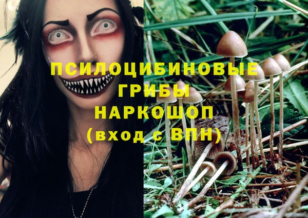 MDMA Анжеро-Судженск