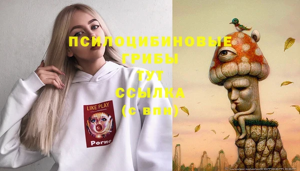 экстази Новозыбков