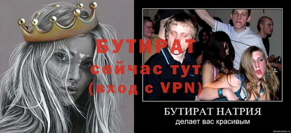 крисы Новодвинск