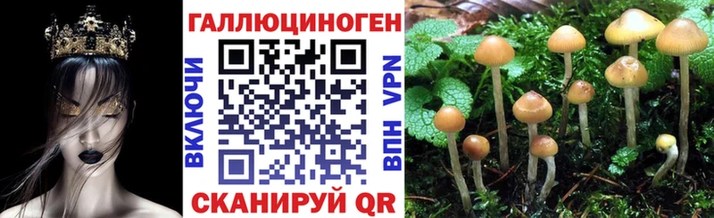Галлюциногенные грибы мухоморы  Электросталь 
